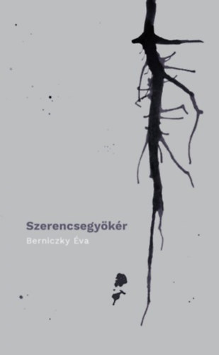Berniczky va - Szerencsegykr