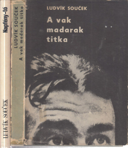 Ludv�k Soucek - 2 db. sci-fi (A vak madarak titka + Napf�ny-t�)