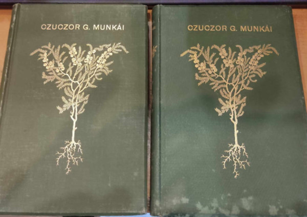 Zoltv�ny Ir�n Czuczor Gergely - Czuczor Gergely �sszes munk�i I-II.