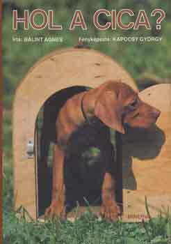 Bálint Ágnes - Hol a cica?