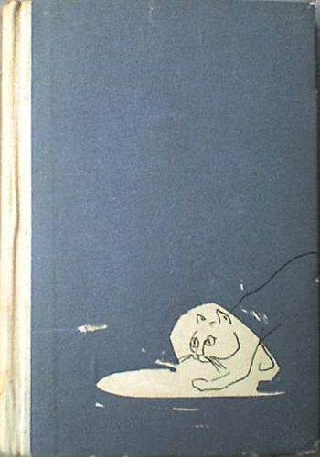 Remenyik Zsigmond - Pernambucói éjszaka