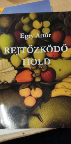 Egry Artúr - Rejtőzködő Hold