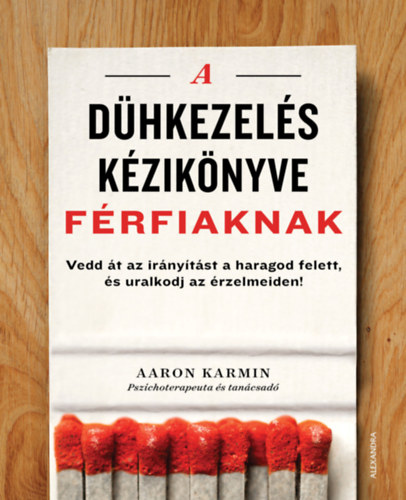 Aaron Karmin - A dhkezels kziknyve frfiaknak