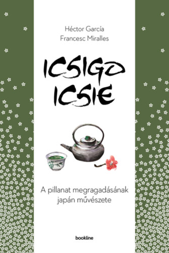 Hctor Garca Francesc Miralles - Icsigo-icsie