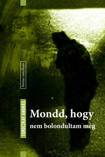 Toroczkay Andrs - Mondd, hogy nem bolondultam meg