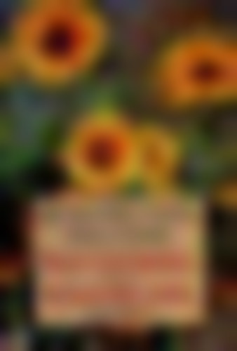 SZERZ� Rosamunde Pilcher FORD�T� Borb�s M�ria - M�s szemmel - Tengeri sz�l+H�z a tengerparton+�prilisi h�vihar,Alv� oroszl�n+Tengerparti rom�nc