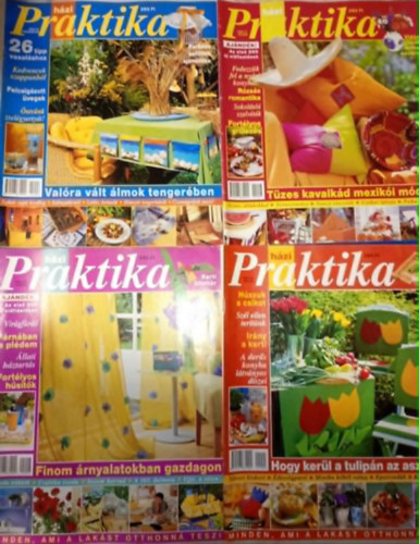 4 db. Praktika Magazin - 2001.máj. - 5. szám, 2001.jún. 6. szám, 2001.júl. 7. szám, 2001.aug. 8. szám (szabás-varrás-kötés-hobby-lakásdivat-kézimunka)