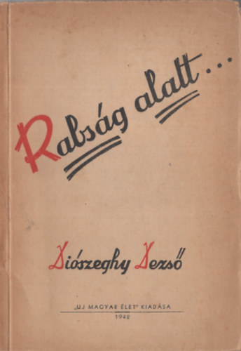 Diószeghy Dezső - A rabság alatt