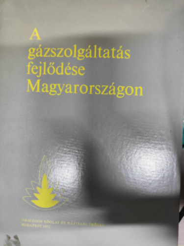 vez:Kertsz Gbor - A gzszolgltats fejldse Magyarorszgon