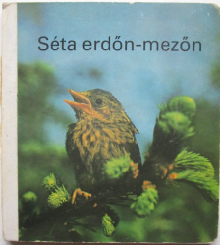 F. Kunz-szines fotókat készítette - Séta erdőn-mezőn