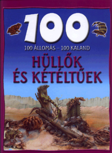 Ann Kay - 100 lloms - 100 kaland -  Hllk s ktltek