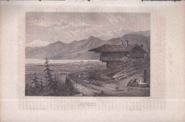 Sarnen in der Schweiz (Sarnen, Svjc, Nmetorszg, Eurpa) (16x23,5 cm mret eredeti aclmetszet, 1856-bl)
