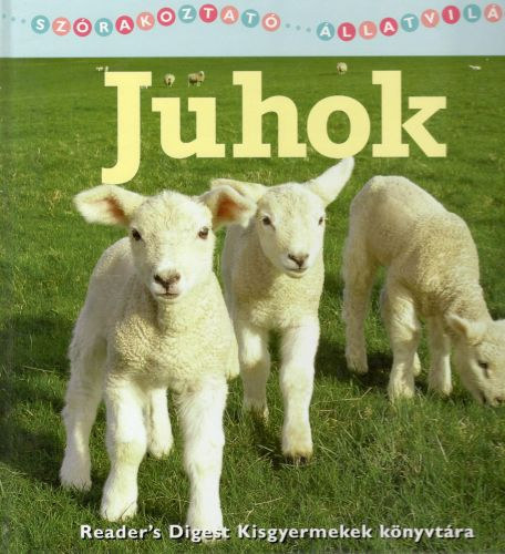 Szórakoztató állatvilág könyvek (Fakasok - Oroszlánok - Medvék - Zebrák - Kacsák - Sertések - Juhok)