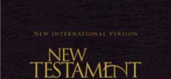 New testament - New international version