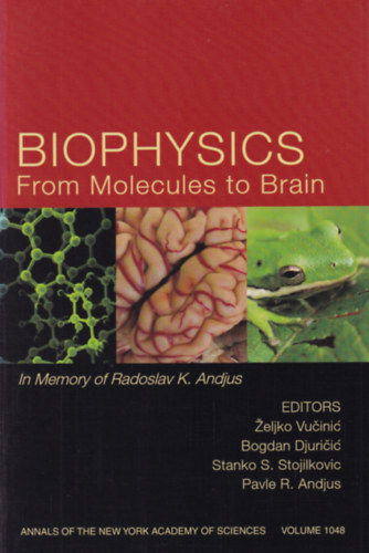 Biophysics From Molecules to Brain