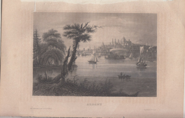 Albany, New York llam, USA, szak-Amerika (16x23,5 cm lapmret eredeti aclmetszet, 1856-bl)
