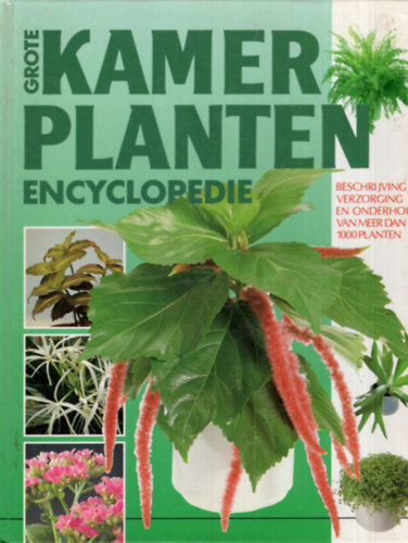 Grote Kamer planten encyclopedie