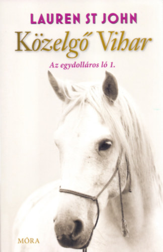 Laurenst John - K�zelg� Vihar