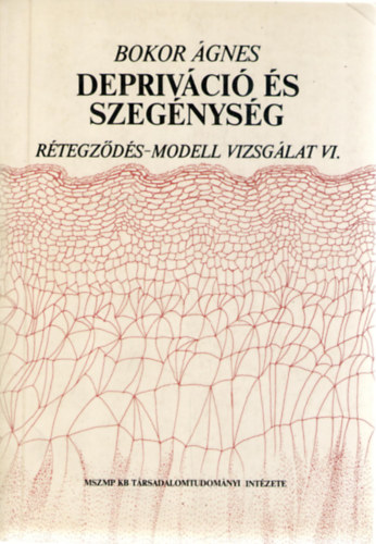Bokor Ágnes - Depriváció és szegénység (Rétegződés-modell vizsgálat VI.)