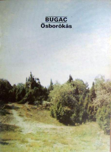 Bugac - sborks