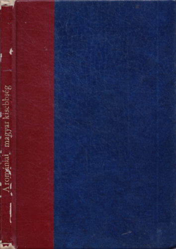 Magyar-Sz�kely Egyes�let - A rom�niai magyar kisebbs�g s�relmei