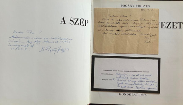 Pogny Frigyes - A szp emberi krnyezet