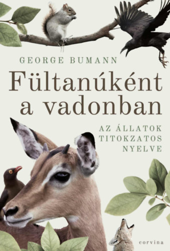George Bumann - Fltanknt a vadonban