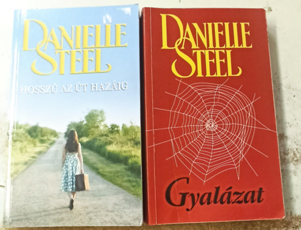 Danielle Steel - 2 db Danielle Steel: Hossz az t hazig +Gyalzat