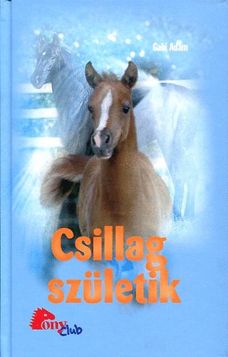 Gabi Adam - Csillag születik (Pony Club)