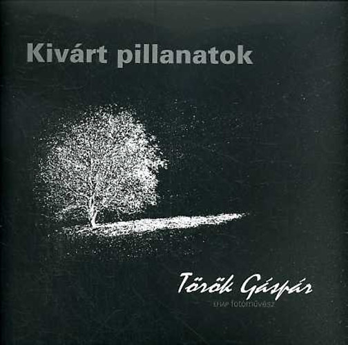Török Gáspár - Kivárt pillanatok (Dedikált)