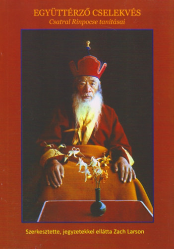 Csatral Rinpocse - Együttérző cselekvés