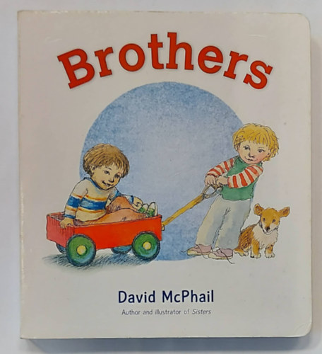 David McPhail  (author and illus.) - Brothers (Lapoz meseknyv, angol nyelven)