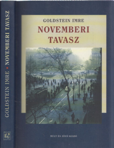 Goldstein Imre - Novemberi tavasz