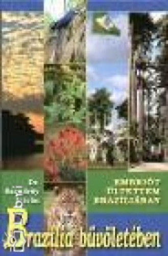 Brazlia bvletben - Embrit ltettem Brazliban