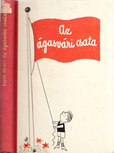 Bog�ti P�ter - Az �gasv�ri csata (I. kiad�s)