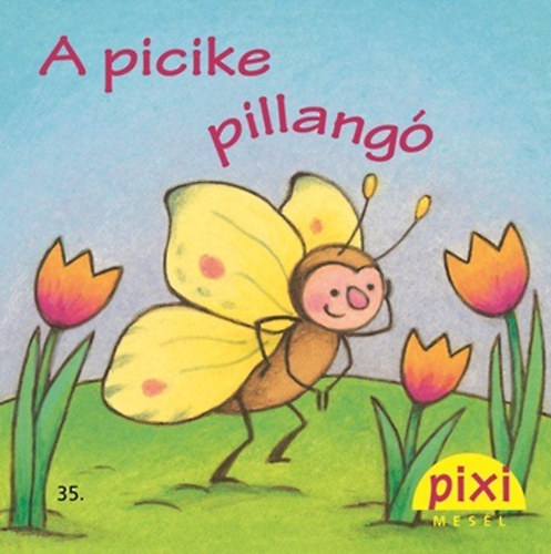 Uschi Flacke - A picike pillangó