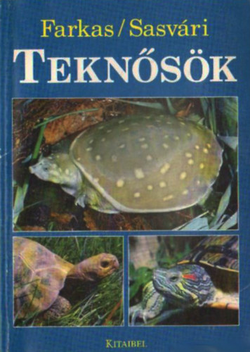 Farkas Balzs-Sasvri Lszl - Teknsk
