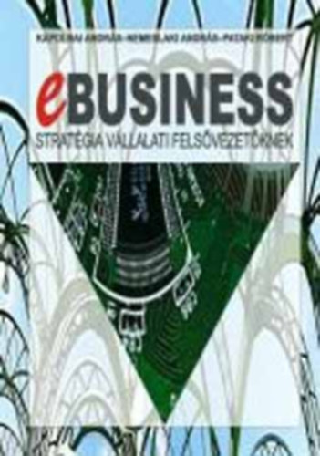 K�polnai Andr�s; Nemeslaki Andr�s; Pataki R�bert - E-business strat�gia v�llalati fels�vezet�knek