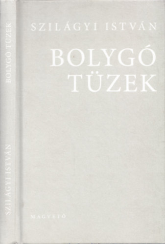 Szilgyi Istvn - Bolyg tzek