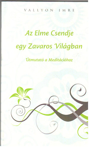 Vallyon Imre - Az Elme Csendje egy Zavaros Világban (Útmutató a Meditációhoz)