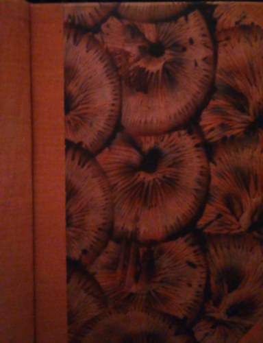 Erd�s Ren�e - Antinous (Egy szerelmes ny�r t�rt�nete)- al��rt