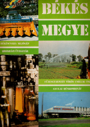 Farkas Istvn - Bks Megye- Reklmjsg 1981/4. szm