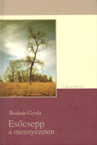 Bodnr Gyula - Escsepp a mennyezeten