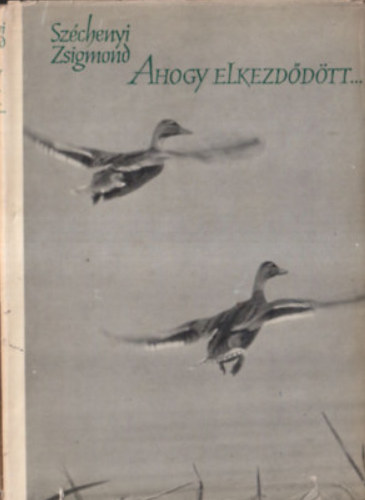 Gr�f Sz�chenyi Zsigmond - Ahogy elkezd�d�tt...