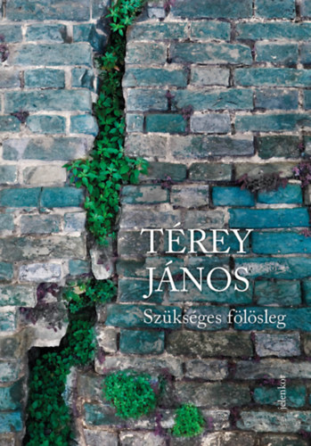 T�rey J�nos - Sz�ks�ges f�l�sleg