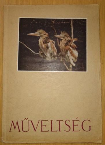 Kaffka Margit - Mveltsg - Kaffka Margit kiadatlan naplja