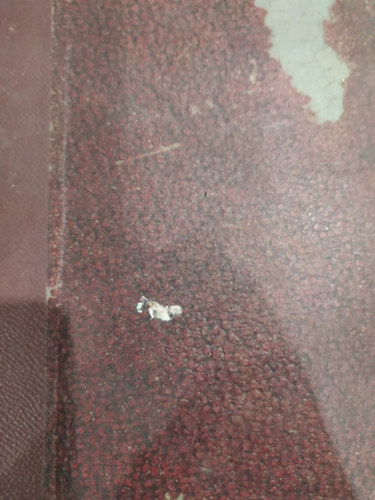 Termszettudomnyi kzlny 1929