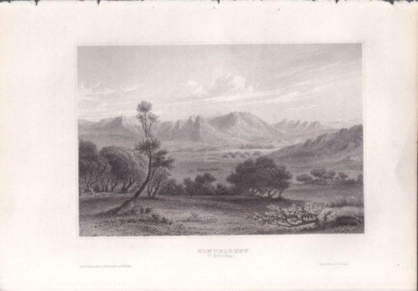Tintellust (Niger, Afrika) (16x23,5 cm mret eredeti aclmetszet, 1856-bl)