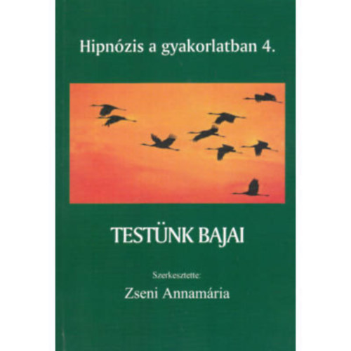 Dr. Zseni Annamária - Testünk bajai