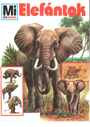 Dr. Ulrich Sedlag - Mi micsoda? 17. - Elef�ntok